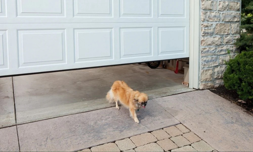Technician installing a garage door opener